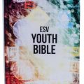 0001309_holy-bible-esv-for-youth_600