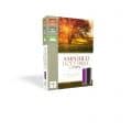 AMPLIFIED HOLY BIBLE COMPACT LARGE PRINT- 02