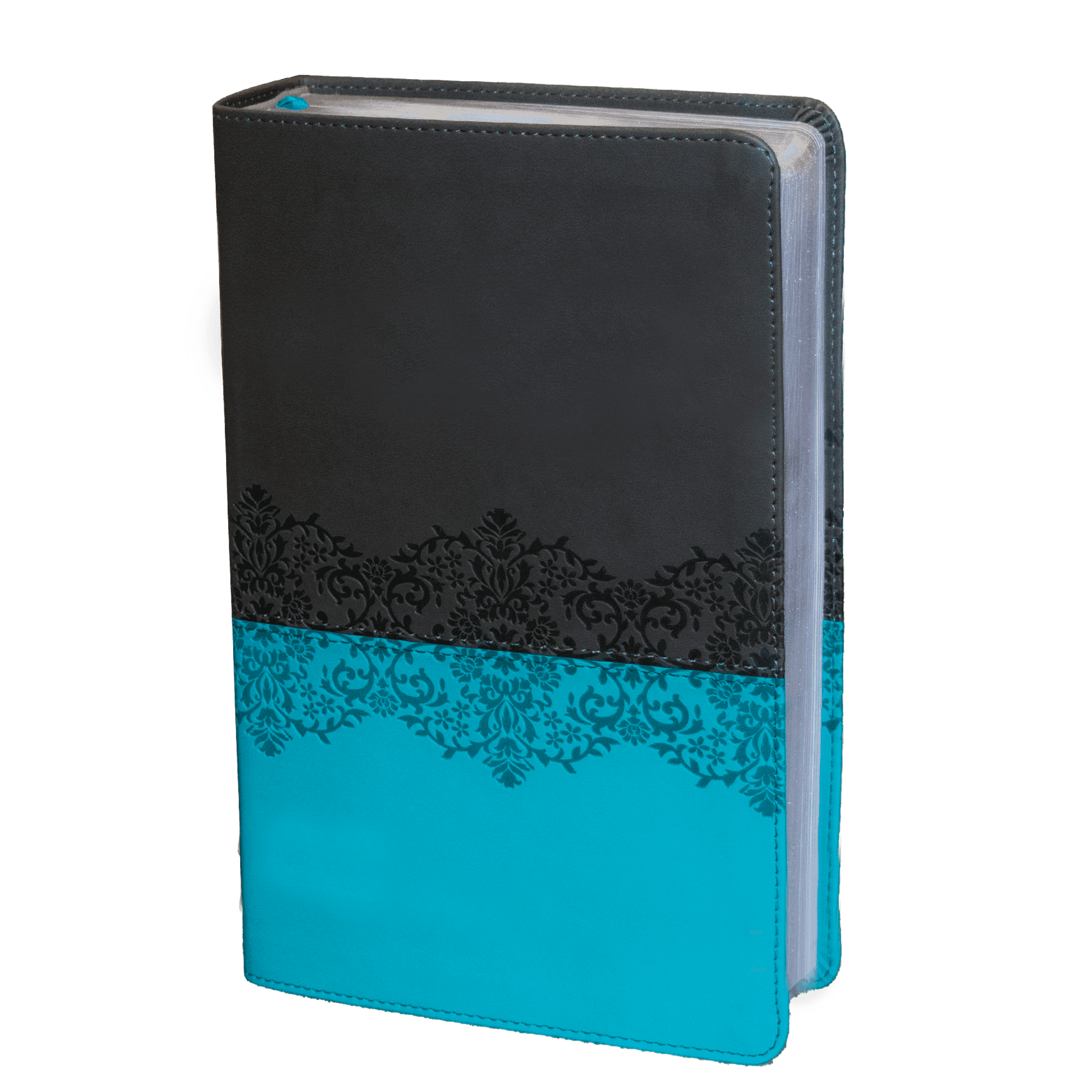 Niv study bible shop ceylonbiblesociety