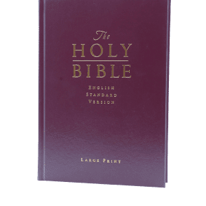 ESV Large print